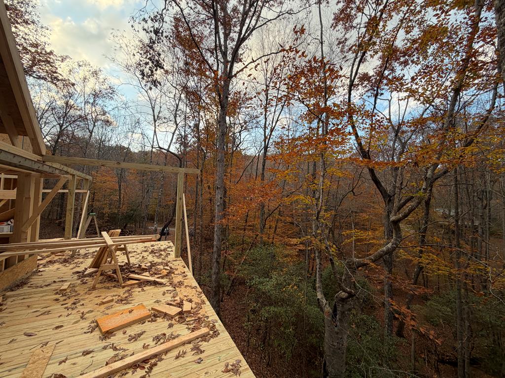 Lot A Mangum's Trail Blue Ridge, GA 30513 - Photo 43 of 94