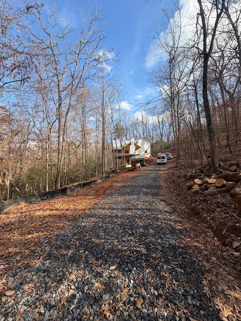 Lot A Mangum's Trail Blue Ridge, GA 30513 - Photo 45 of 94