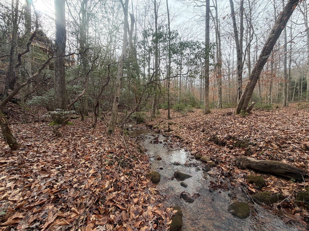 Lot A Mangum's Trail Blue Ridge, GA 30513 - Photo 46 of 94 Callahan Creek