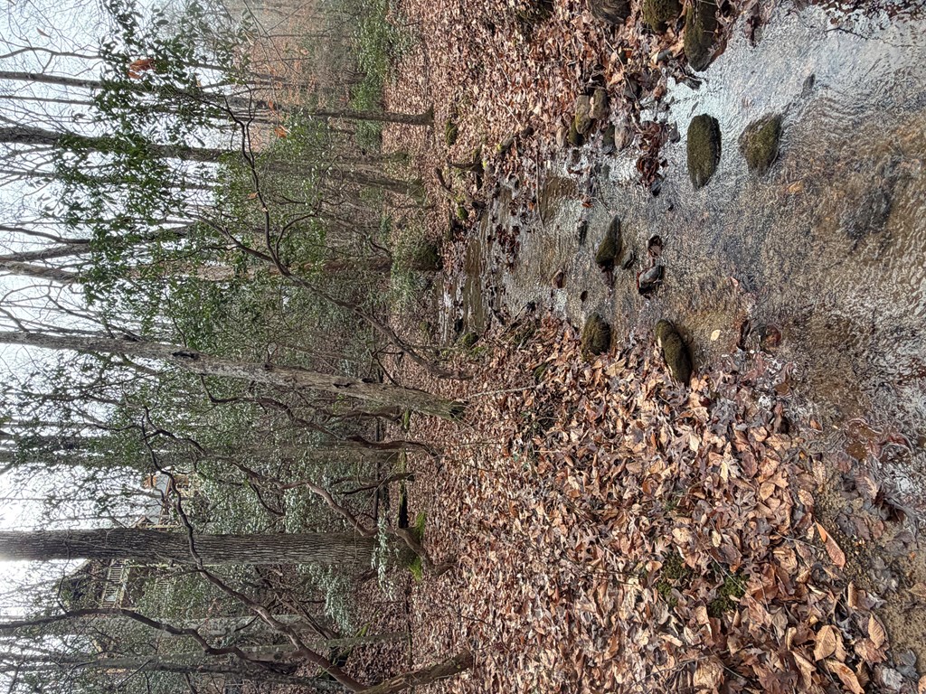 Lot A Mangum's Trail Blue Ridge, GA 30513 - Photo 49 of 94