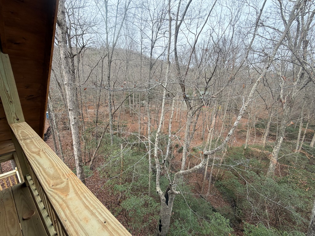 Lot A Mangum's Trail Blue Ridge, GA 30513 - Photo 57 of 94