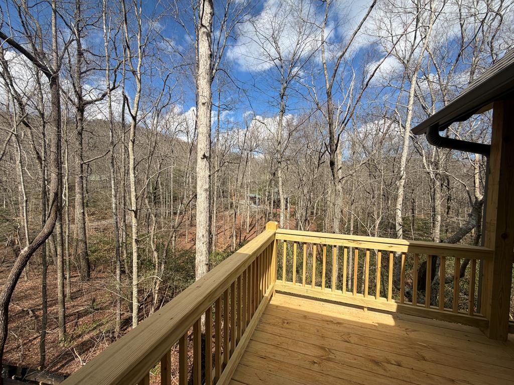 Lot A Mangum's Trail Blue Ridge, GA 30513 - Photo 74 of 94 Callihan Creek