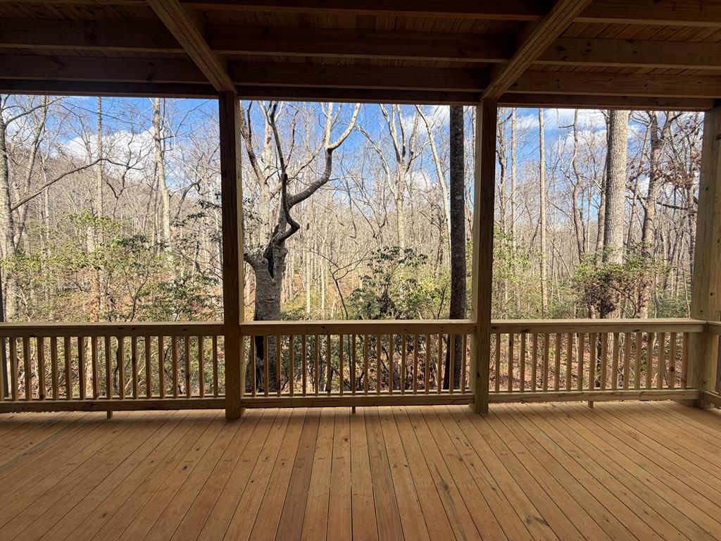 Lot A Mangum's Trail Blue Ridge, GA 30513 - Photo 78 of 94