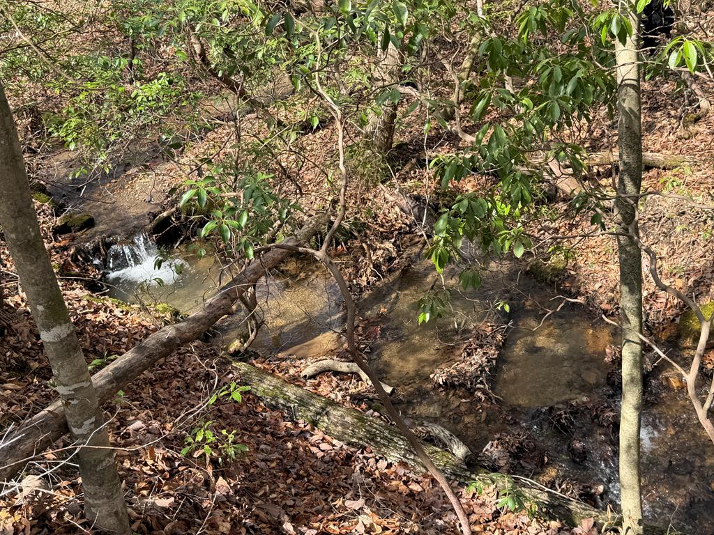 Lot A Mangum's Trail Blue Ridge, GA 30513 - Photo 83 of 94