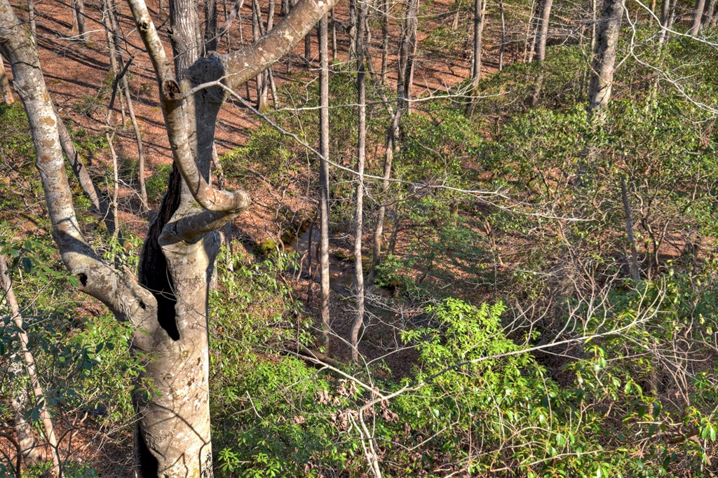 Lot A Mangum's Trail Blue Ridge, GA 30513 - Photo 92 of 94