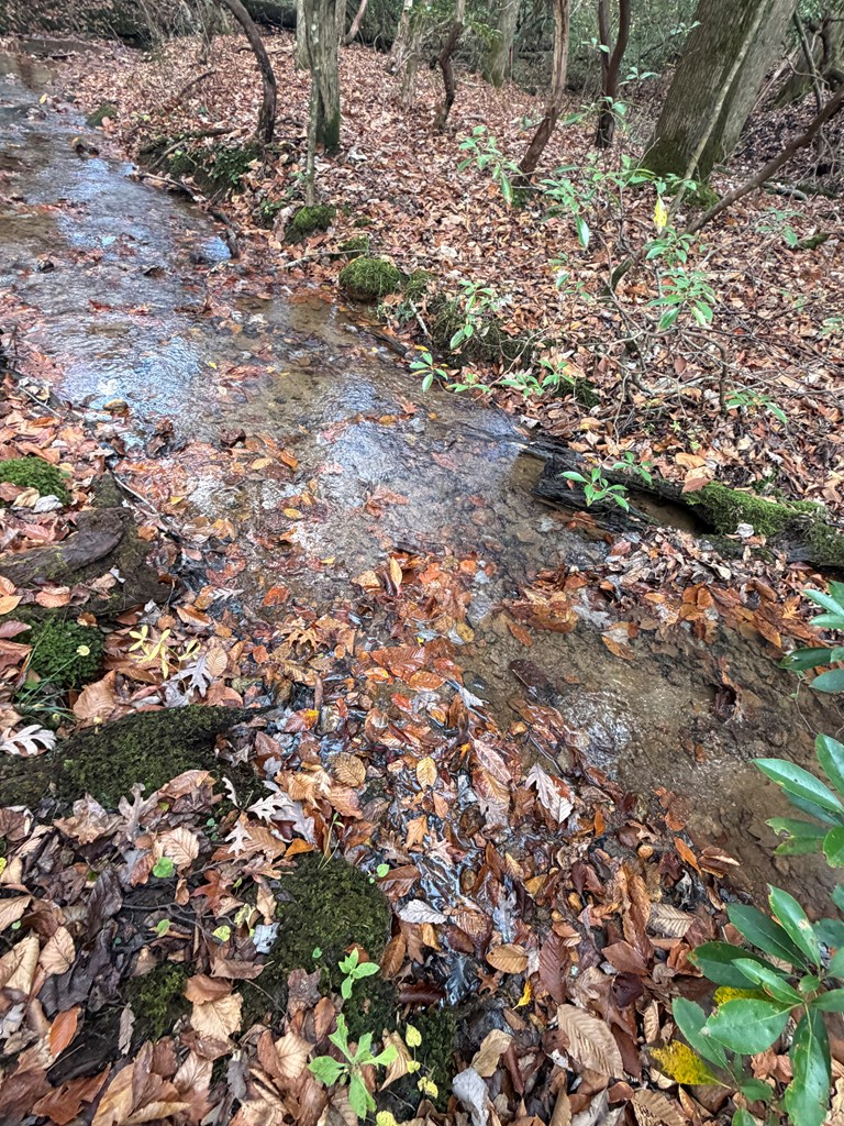 Lot A Mangum's Trail Blue Ridge, GA 30513 - Photo 10 of 94