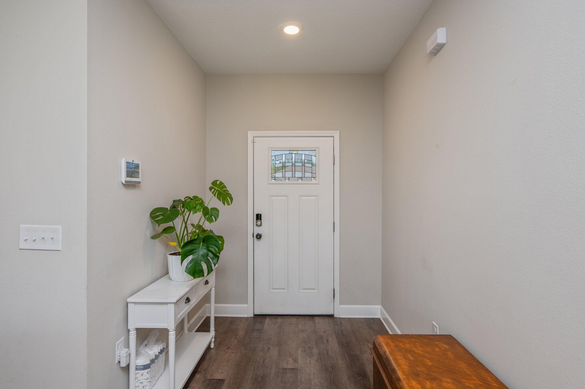 a room with a potted plant