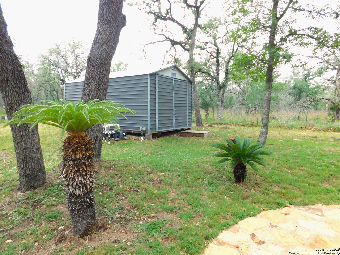 525 Cherry Ridge Floresville, TX 78114 - Photo 32 of 33 a view of a garden