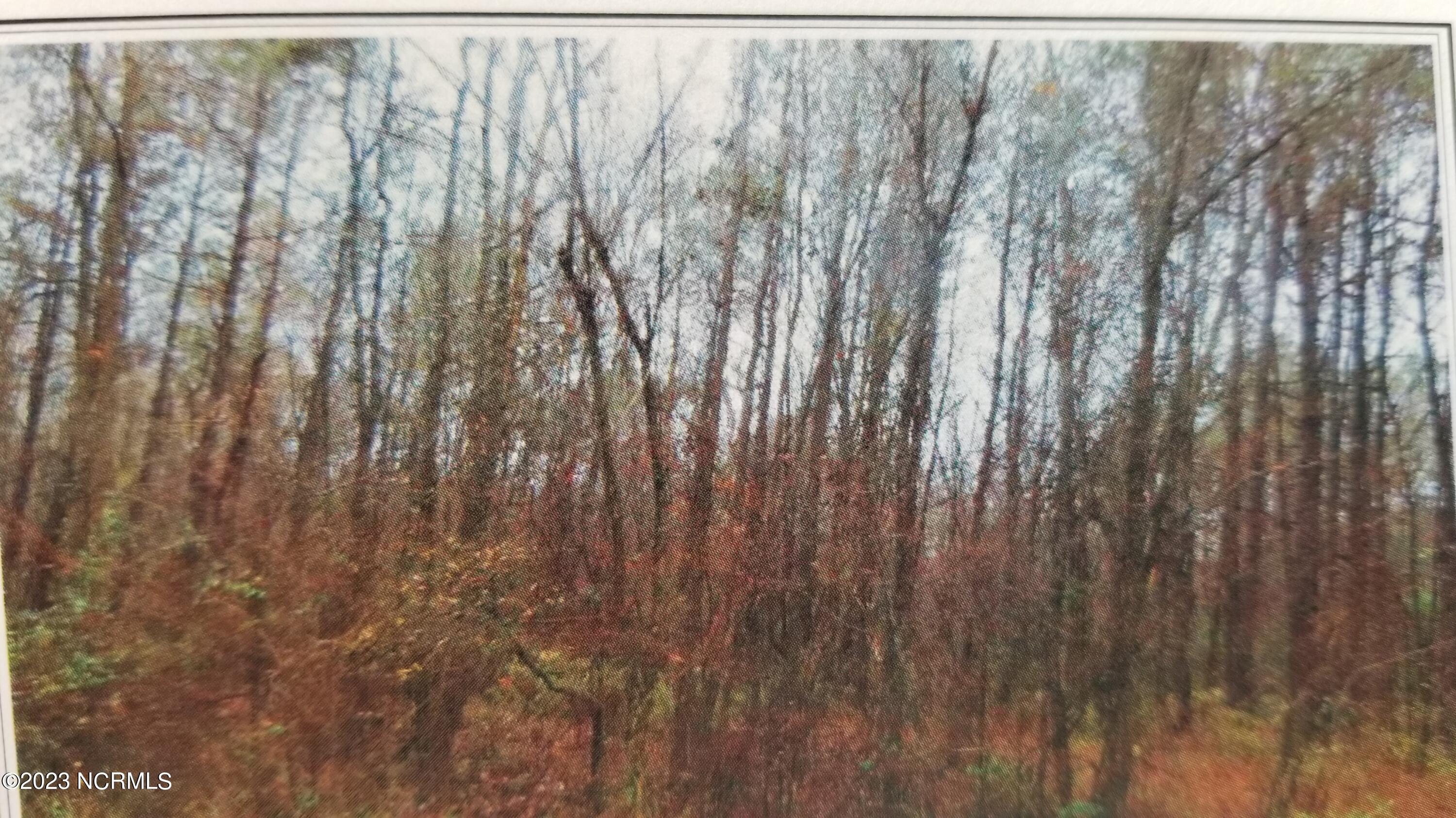 0 Redman Road Rocky Mount, NC 27803 - Photo 2 of 7 street view