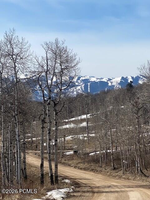 2604 South Forest Meadow Road Coalville, UT 84017 - Photo 24 of 28