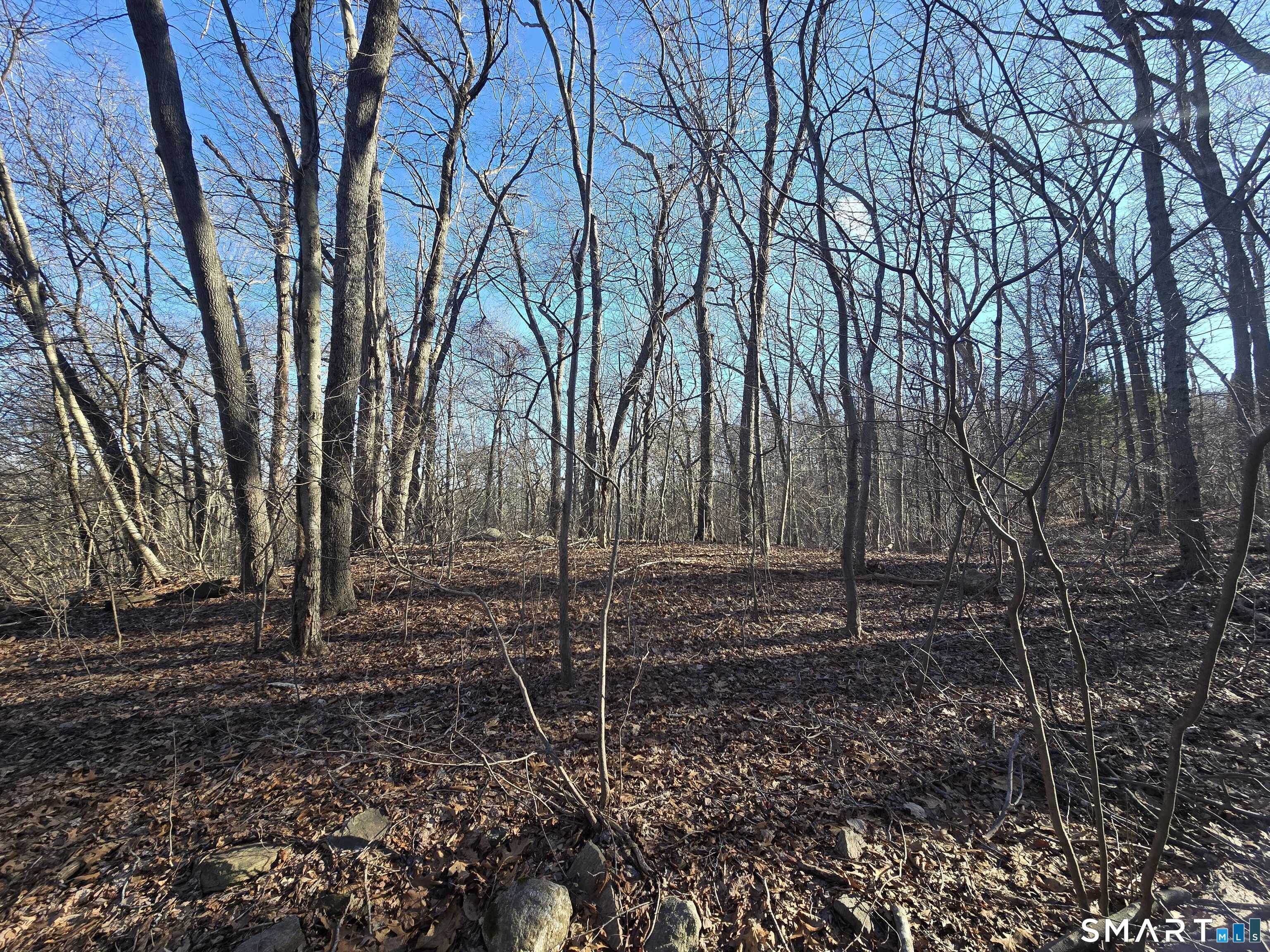 270 Old Colchester Road Salem, CT 06420 - Photo 11 of 22