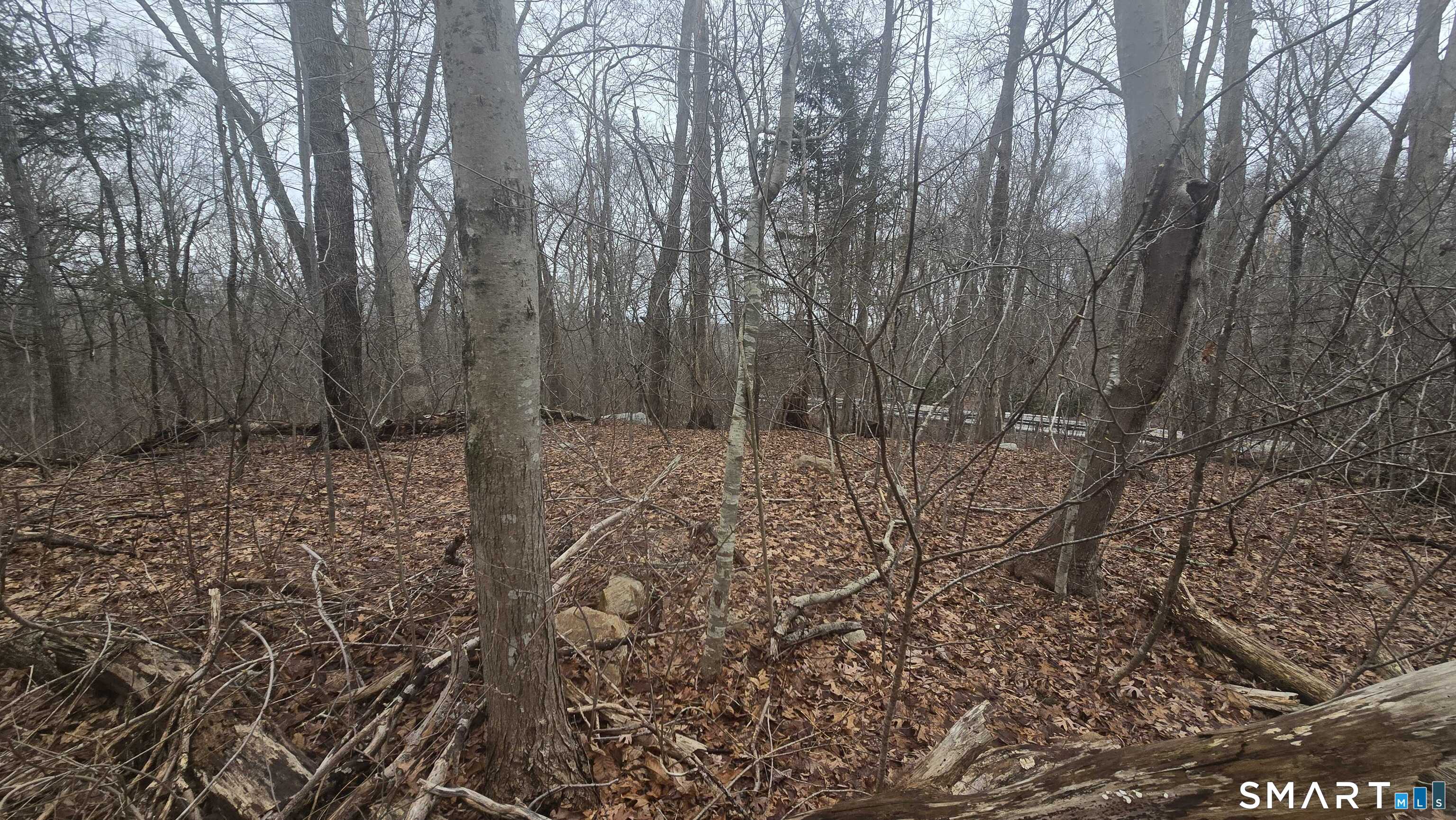 270 Old Colchester Road Salem, CT 06420 - Photo 12 of 22