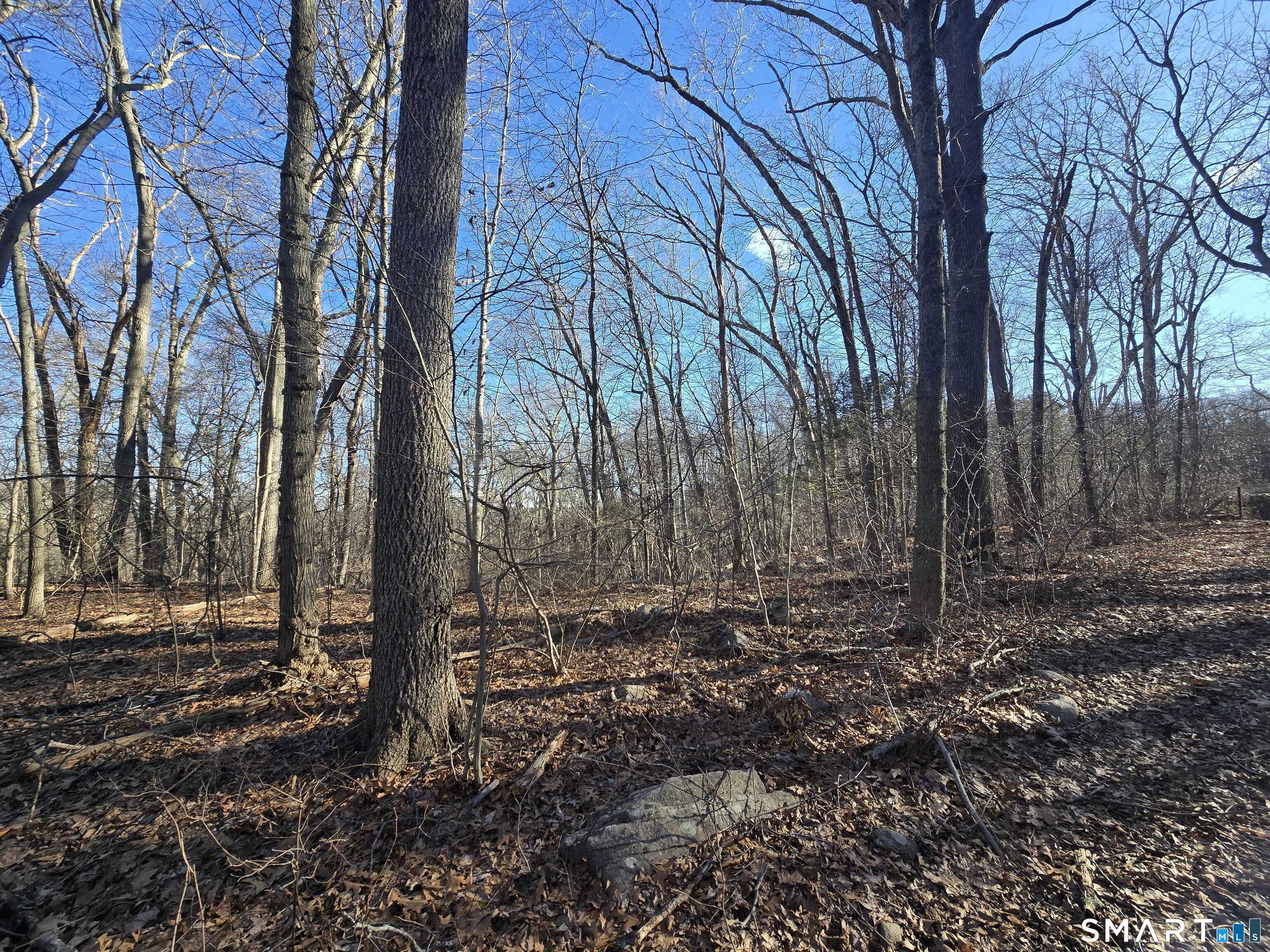 270 Old Colchester Road Salem, CT 06420 - Photo 13 of 22