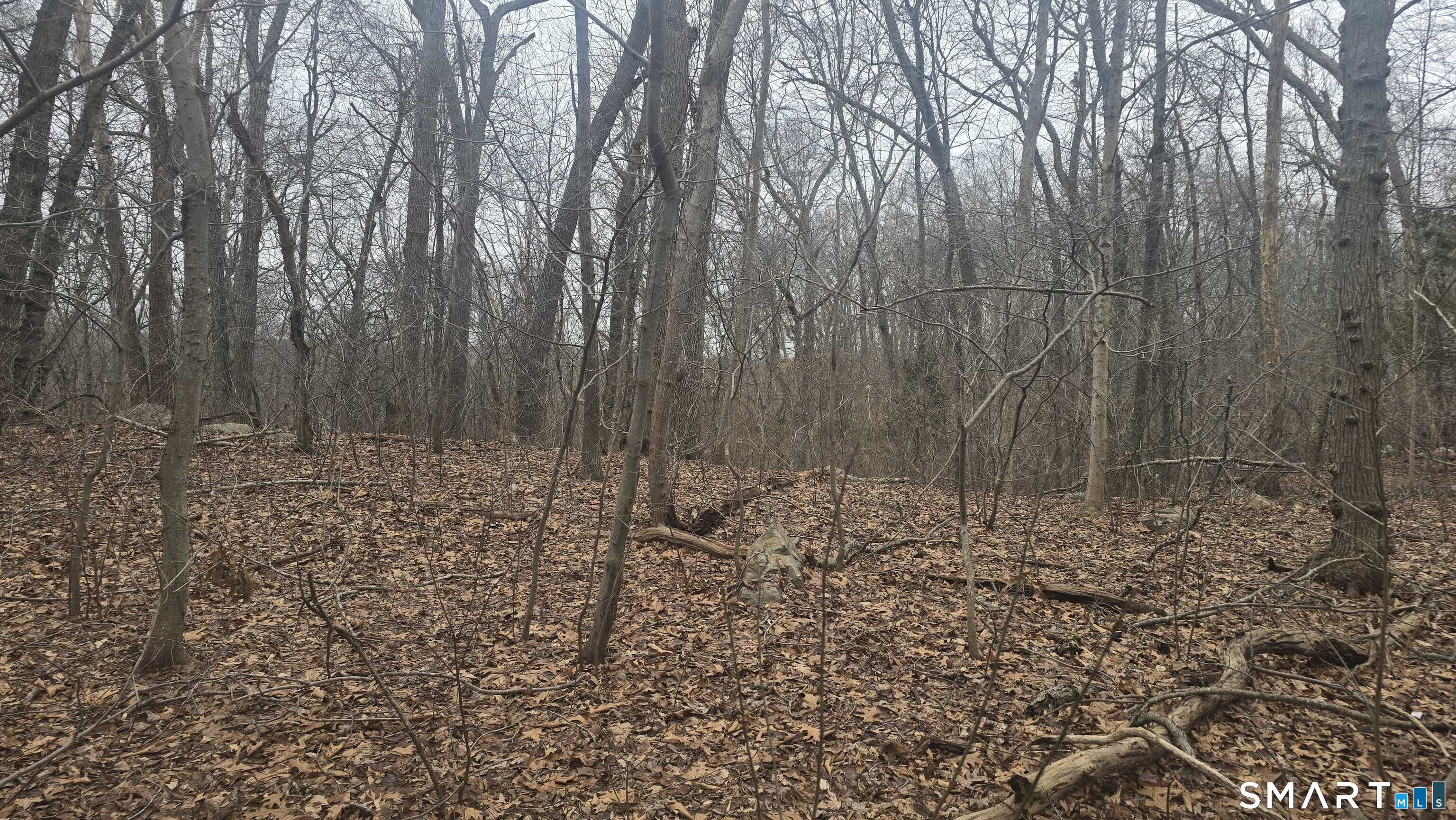 270 Old Colchester Road Salem, CT 06420 - Photo 14 of 22