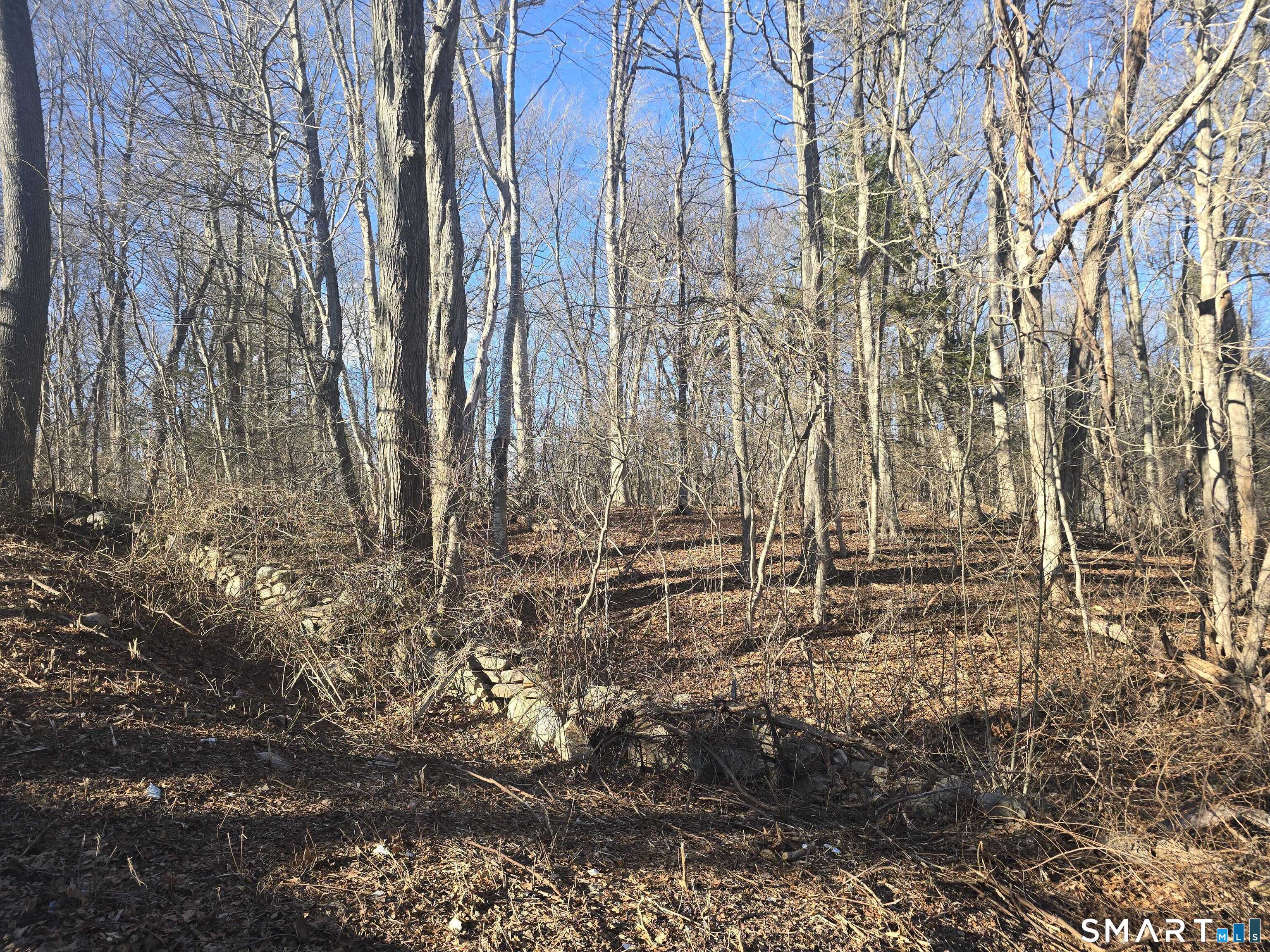 270 Old Colchester Road Salem, CT 06420 - Photo 15 of 22