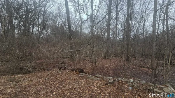 a view of a dry yard with trees in the background