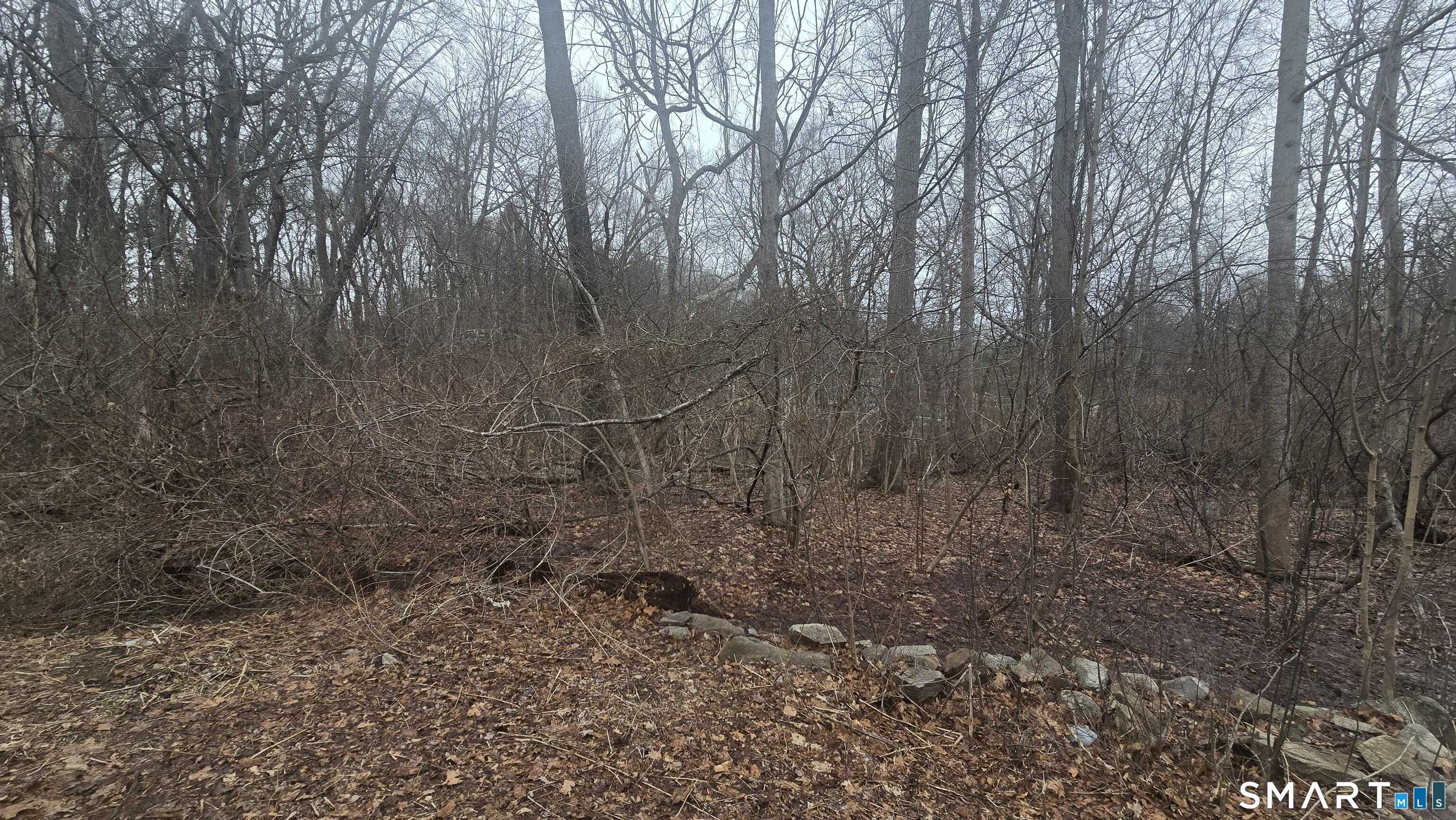 270 Old Colchester Road Salem, CT 06420 - Photo 3 of 22