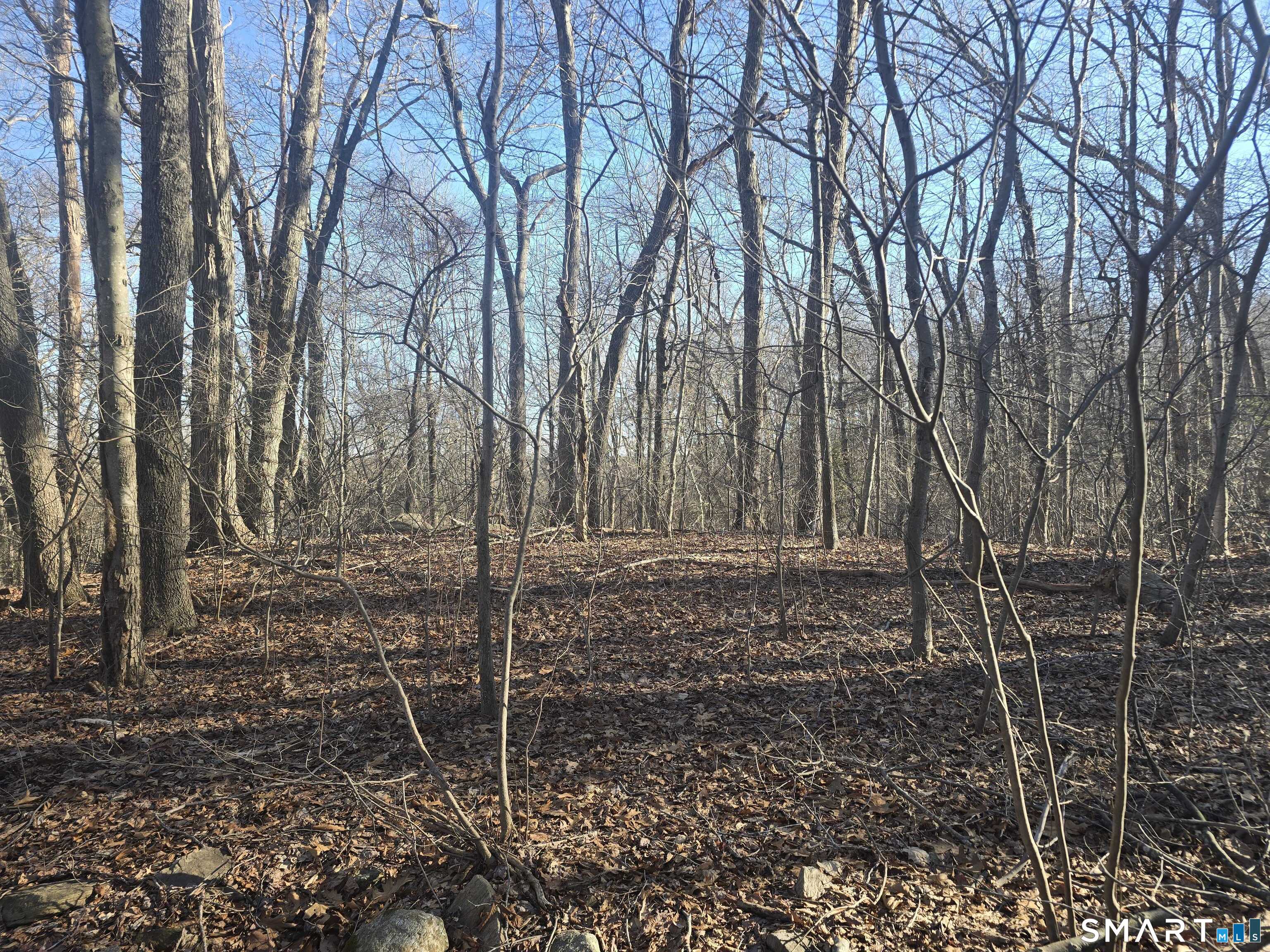 270 Old Colchester Road Salem, CT 06420 - Photo 9 of 22