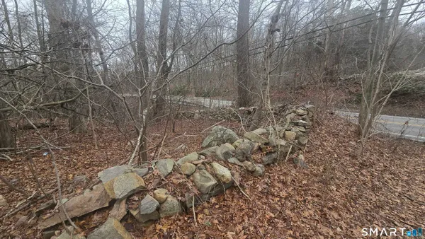 a view of a yard
