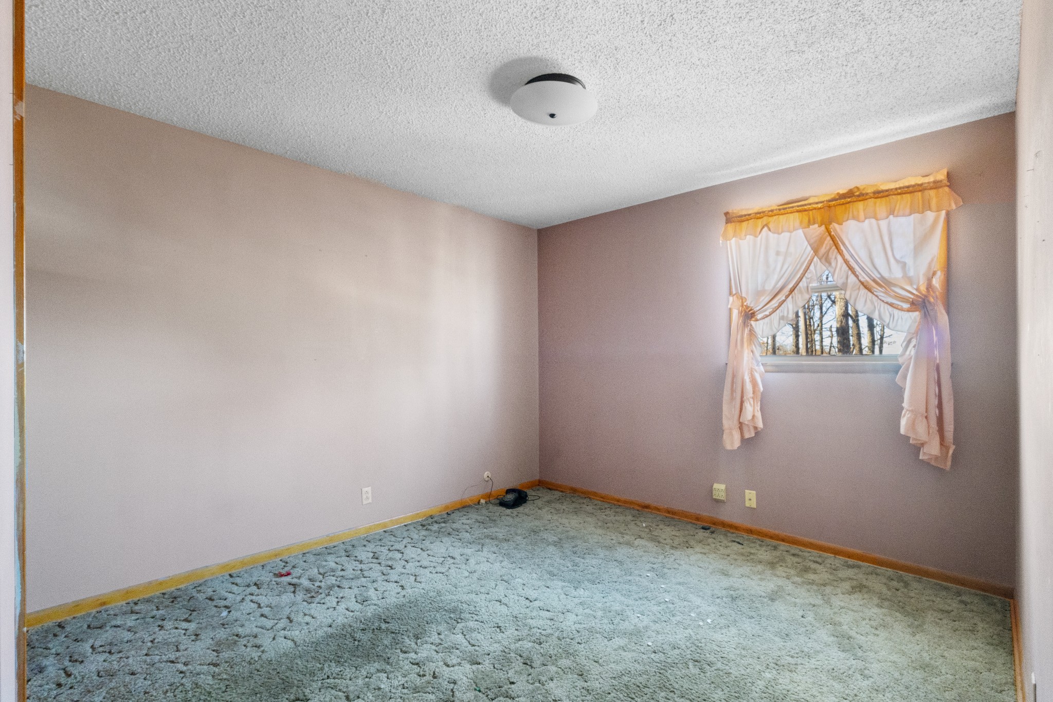 2050 Outlaw Road Woodlawn, TN 37191 - Photo 19 of 32 Gallery Image 19