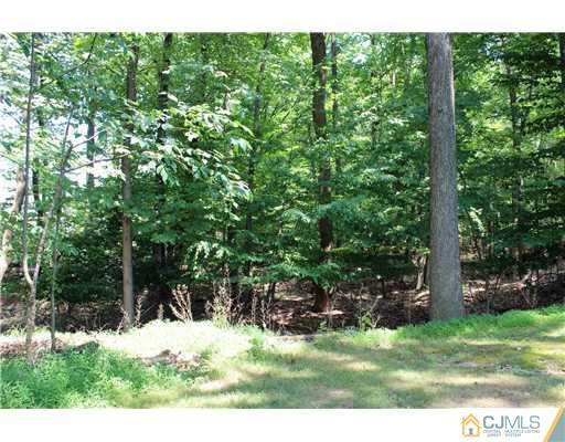 2001 Timber Oaks Road Edison, NJ 08820 - Photo 24 of 25
