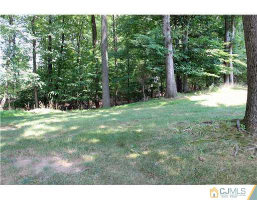 2001 Timber Oaks Road Edison, NJ 08820 - Photo 25 of 25 a view of outdoor space with green field and trees