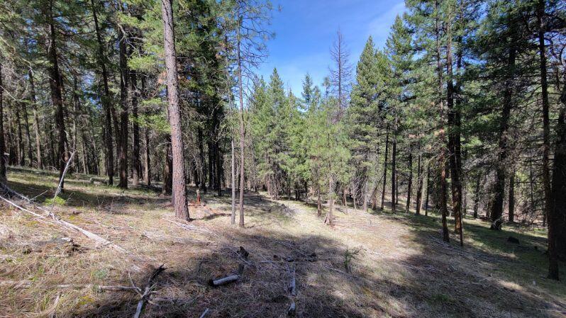 1315 Lofton Creek Road Prineville, OR 97754 - Photo 3 of 61 image000005 (6)