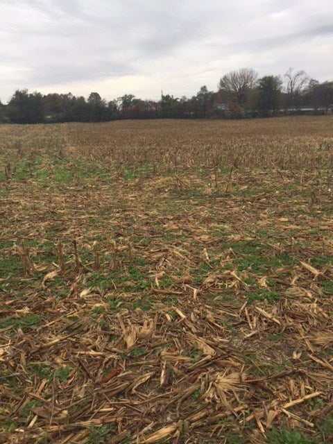 Lot 2 Woody Atkinson Road Bowling Green, KY 42101 - Photo 1 of 2 Gallery Image 1