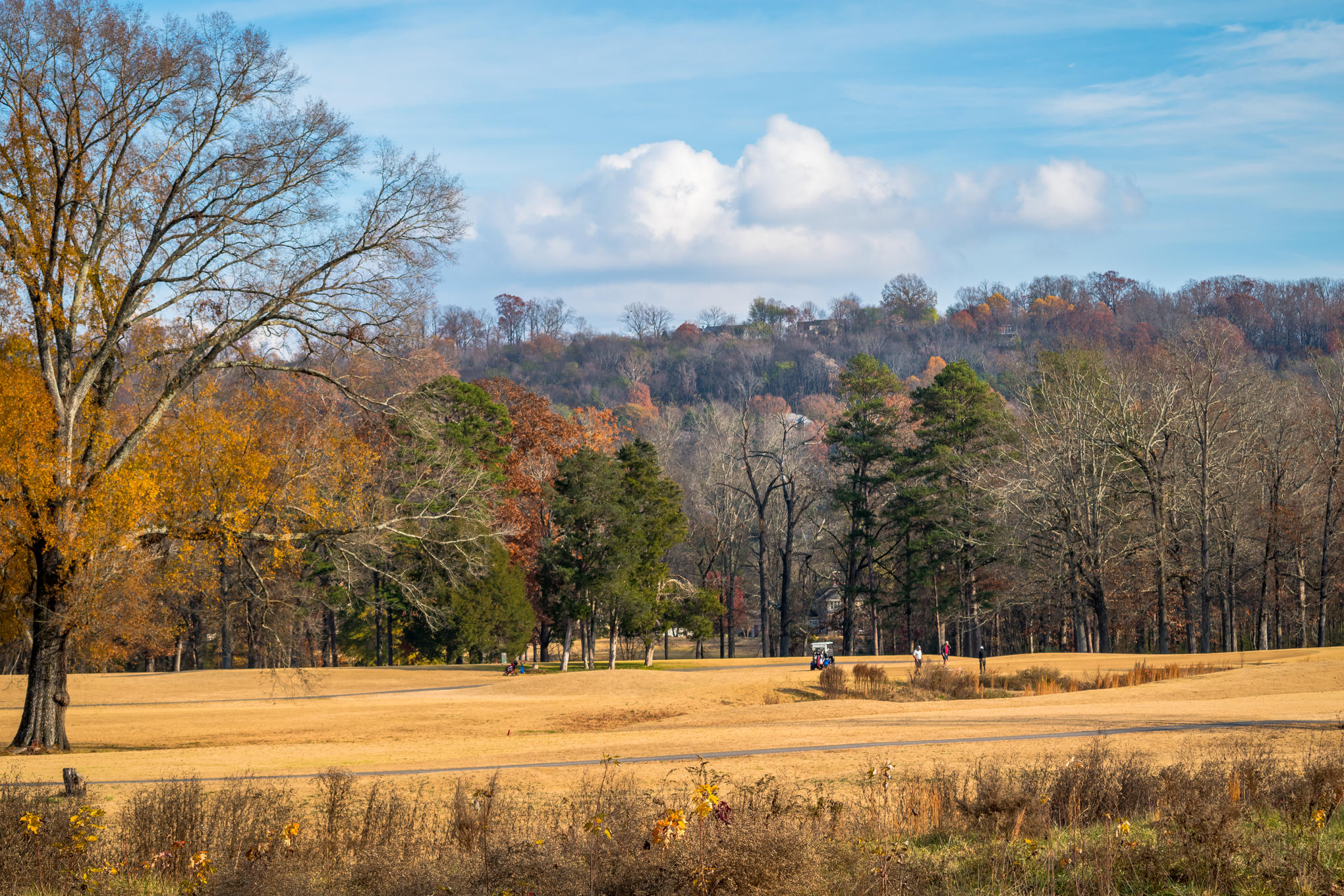 152 Masters Road Hixson, TN 37343 - Photo 41 of 60 _DSC1956