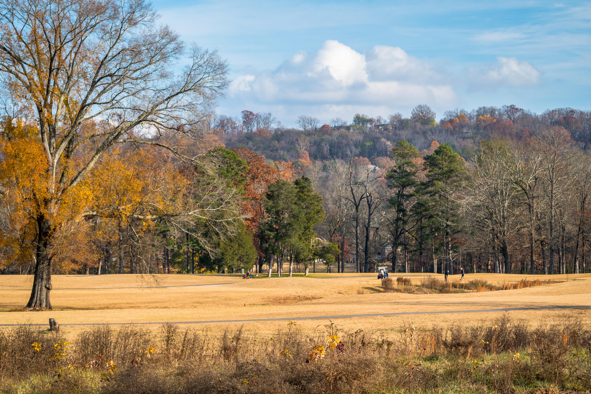 152 Masters Road Hixson, TN 37343 - Photo 42 of 60 _DSC1958