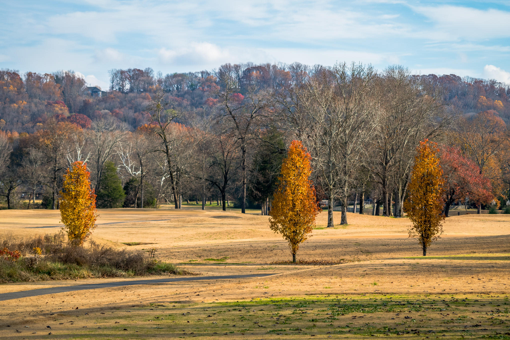 152 Masters Road Hixson, TN 37343 - Photo 43 of 60 _DSC1961