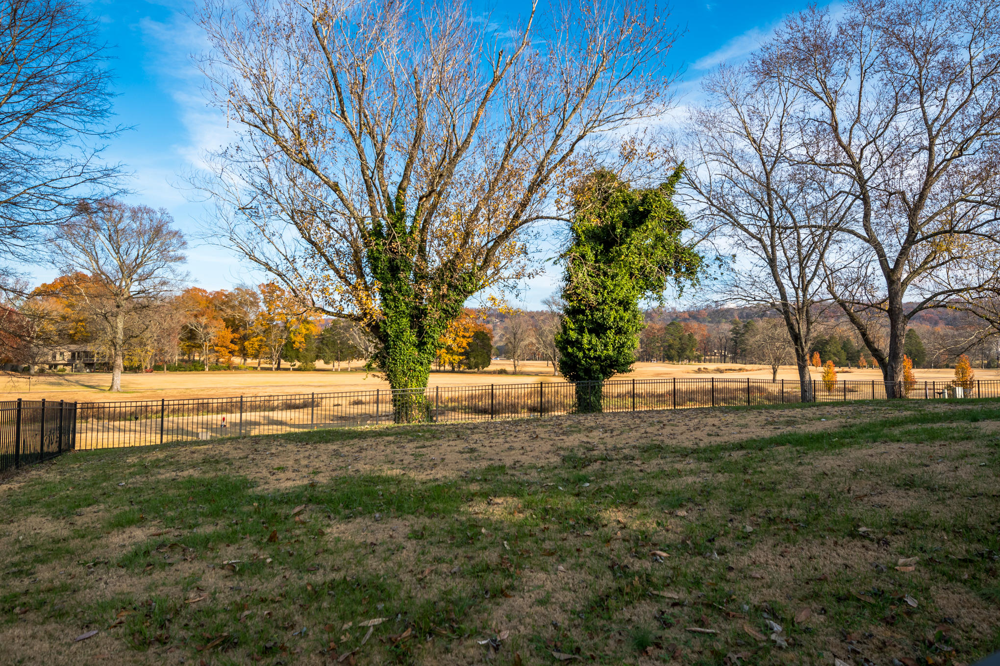 152 Masters Road Hixson, TN 37343 - Photo 51 of 60 _DSC2000