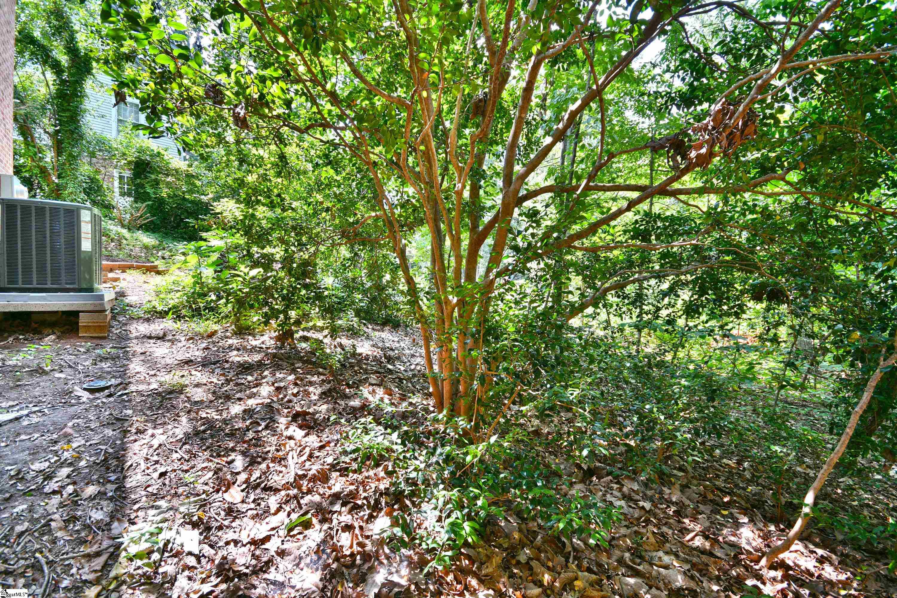 217 Blue Ridge Drive Greer, SC 29651 - Photo 43 of 45