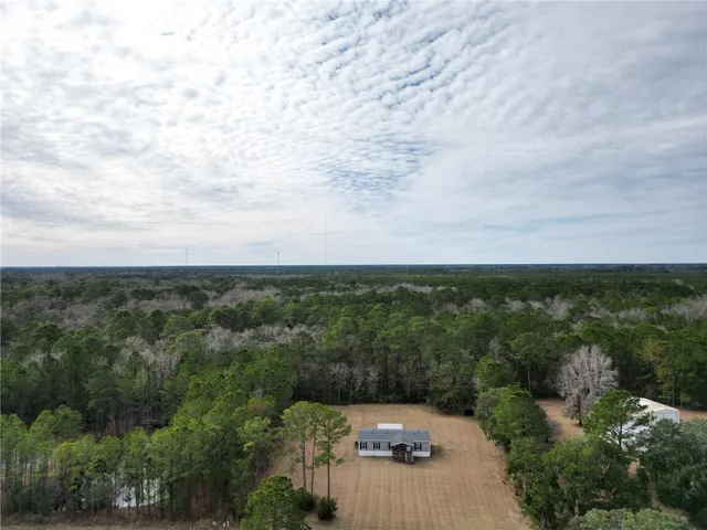 $270,000 | 1337 H G Miles Drive, Townsend, GA 31331