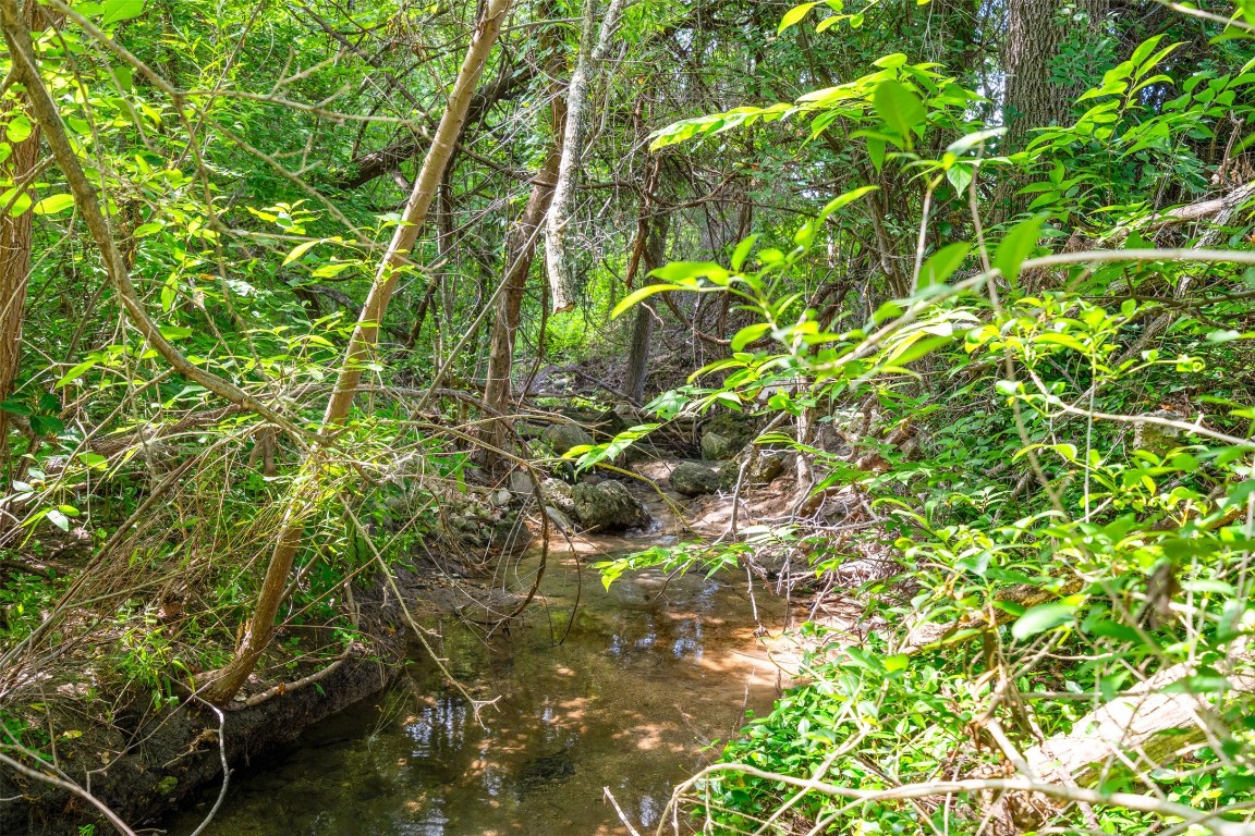 13436 State Highway 71 Bee Cave, TX 78738 - Photo 10 of 35 a backyard of a house