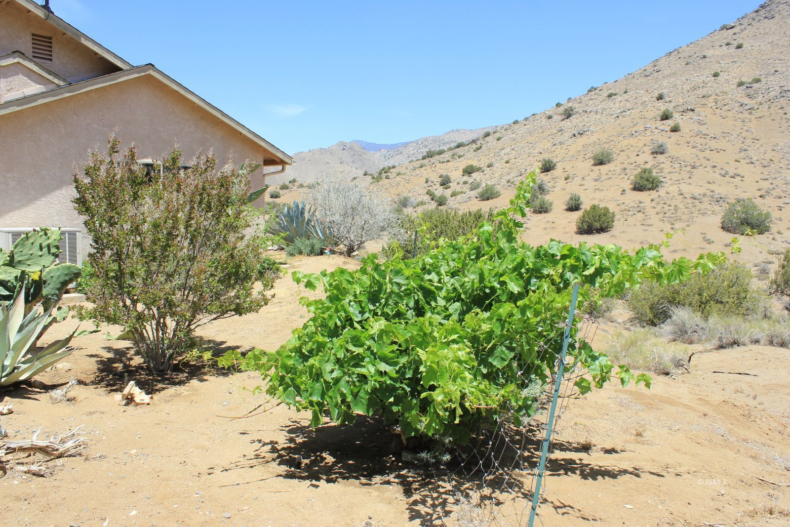 7348 Cyrus Canyon Road Kernville, CA 93238 - Photo 25 of 33