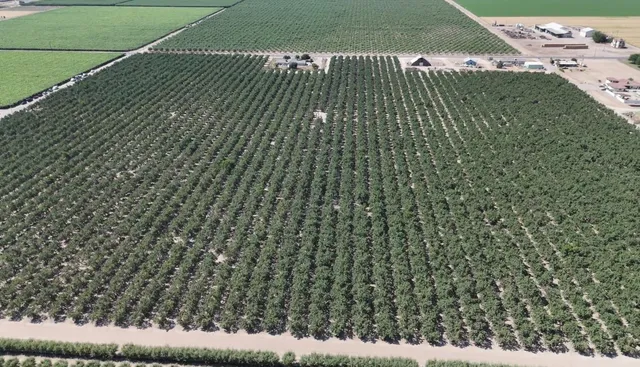 $1,750,000 | 10454 East Clarkson Avenue, Kingsburg, CA 93631