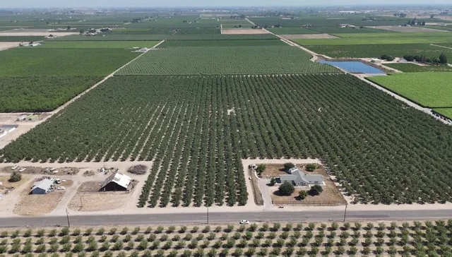 $1,750,000 | 10454 East Clarkson Avenue, Kingsburg, CA 93631