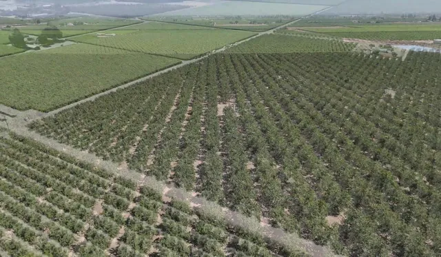 $1,750,000 | 10454 East Clarkson Avenue, Kingsburg, CA 93631