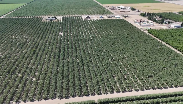 $1,750,000 | 10454 East Clarkson Avenue, Kingsburg, CA 93631