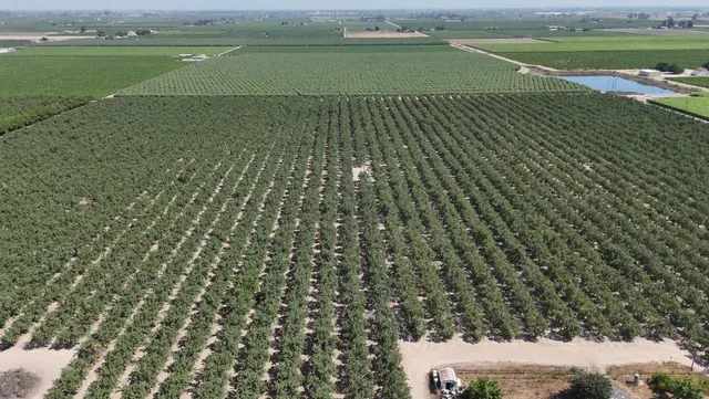 $1,750,000 | 10454 East Clarkson Avenue, Kingsburg, CA 93631