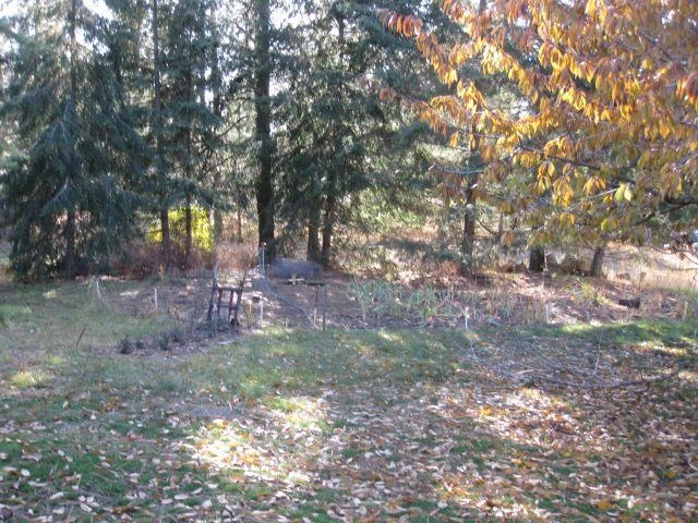 4408 West Taylor Road Cheney, WA 99004 - Photo 9 of 11