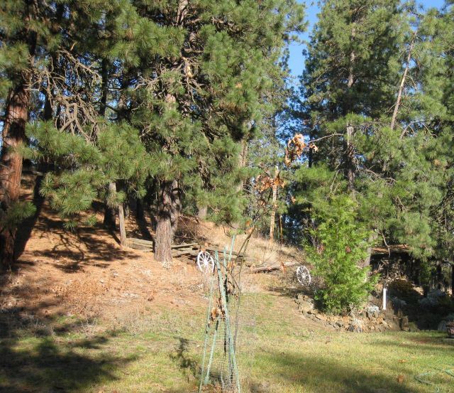 4408 West Taylor Road Cheney, WA 99004 - Photo 10 of 11