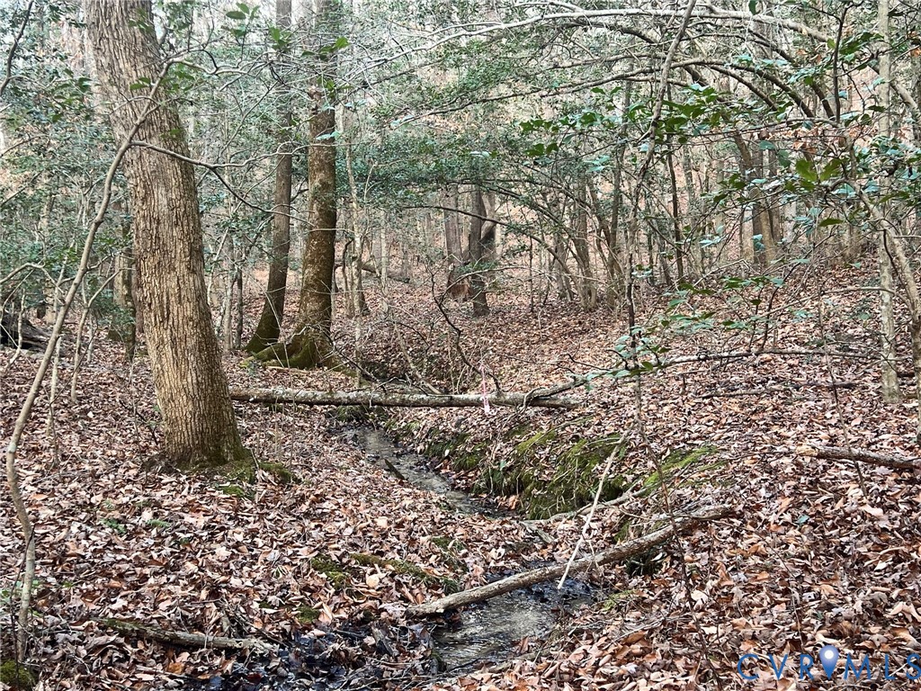 0 Tunstall Road New Kent, VA 23124 - Photo 14 of 19 View of nature