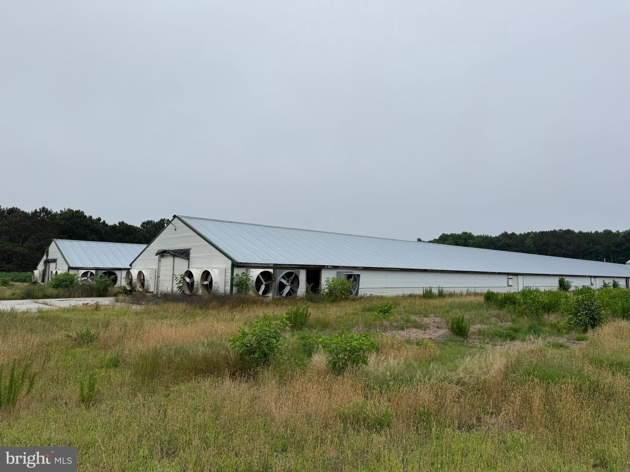 25495 Saxis Road Temperanceville, VA 23442 - Photo 14 of 18 a view of a house with a yard