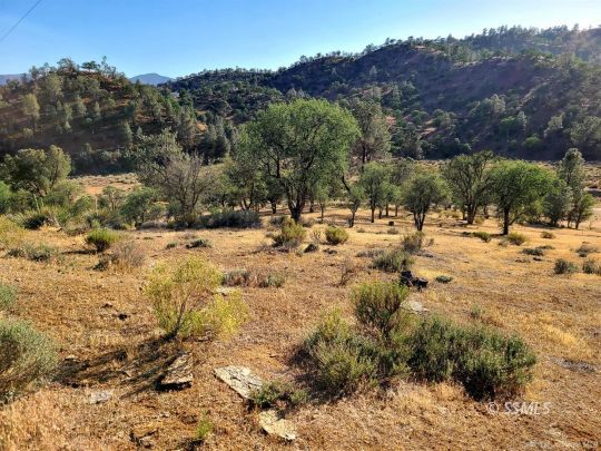 34650 Sand Canyon Road Caliente, CA 93518 - Photo 4 of 10 a view of a yard with a tree