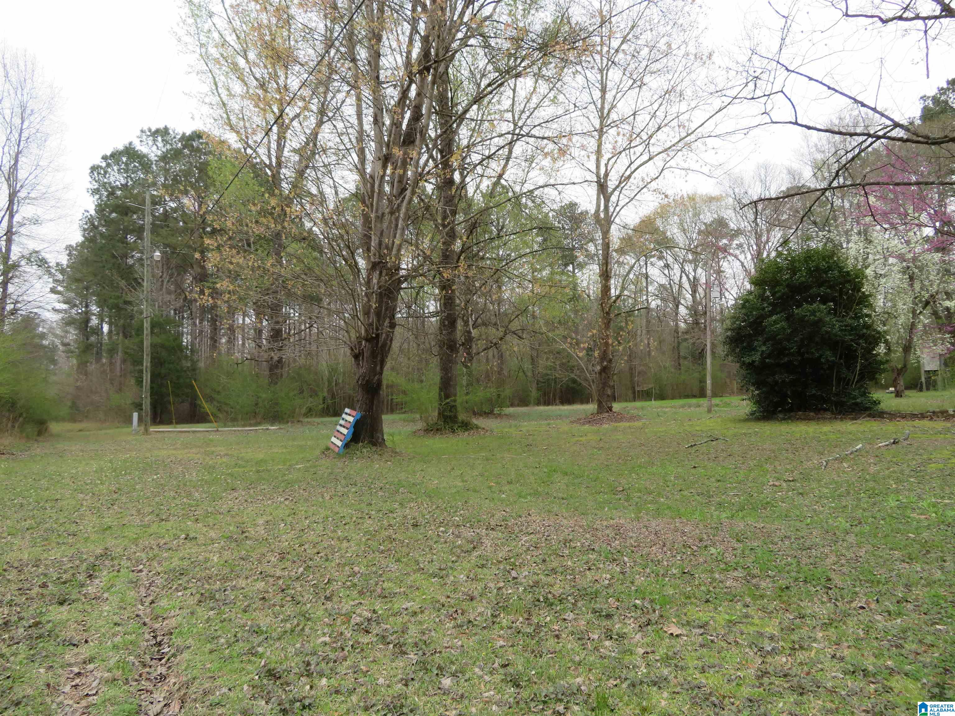 4100 Montevallo Road Centreville, AL 35042 - Photo 6 of 24