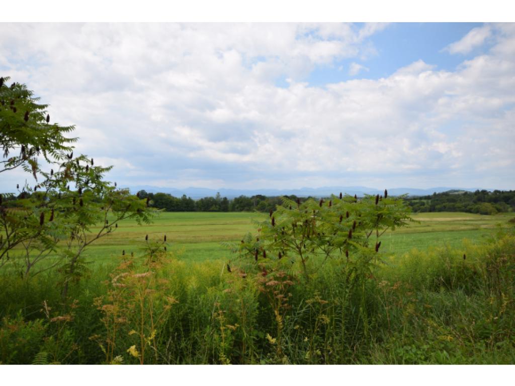 5560 Mt Philo Road Charlotte, VT 05445 - Photo 7 of 13 Gallery Image 7