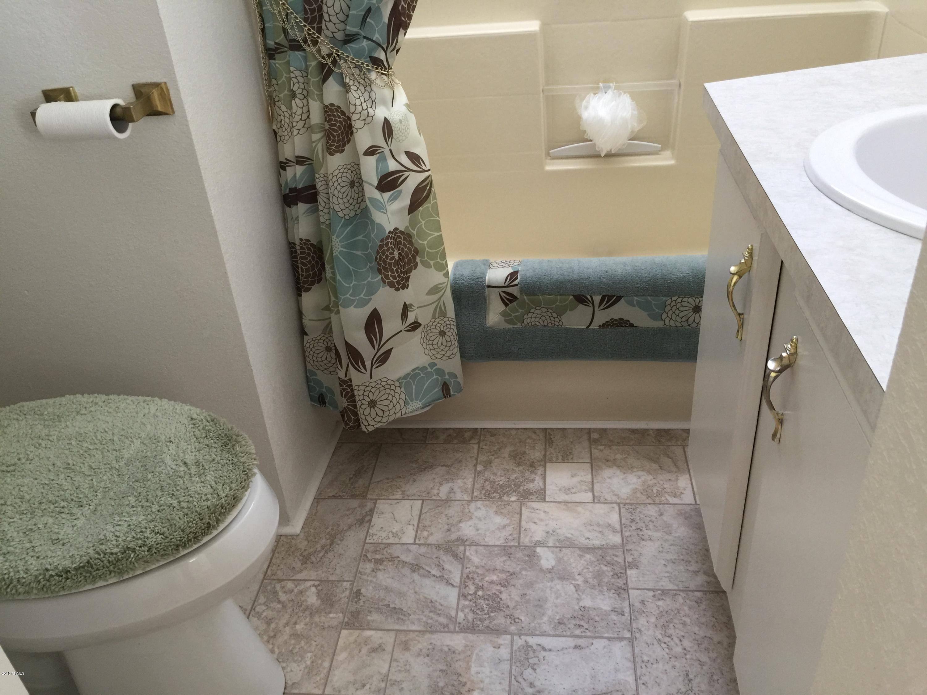 7750 East Broadway Road, Unit 336 Mesa, AZ 85208 - Photo 15 of 43 7750 E. Broadway Rd. 336 - MAIN BATH