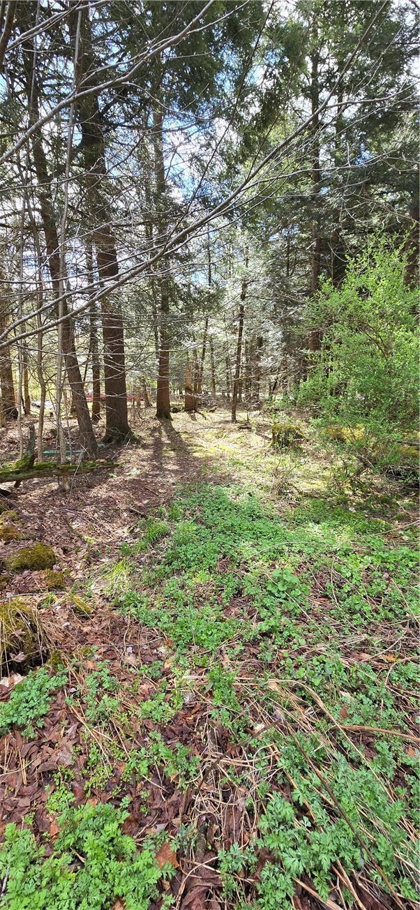 Bliss Gulf Road Oneonta, NY 13820 - Photo 1 of 20